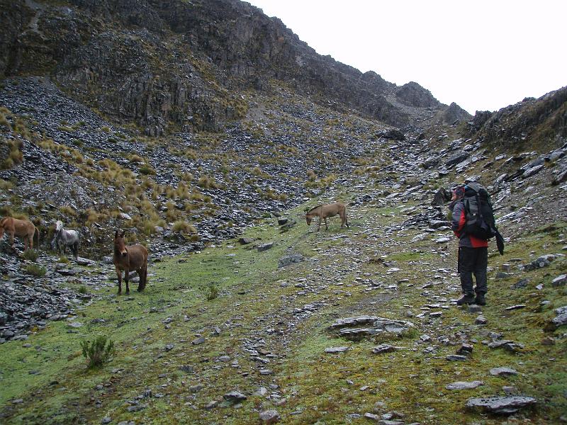 Illampu Trek (34).JPG